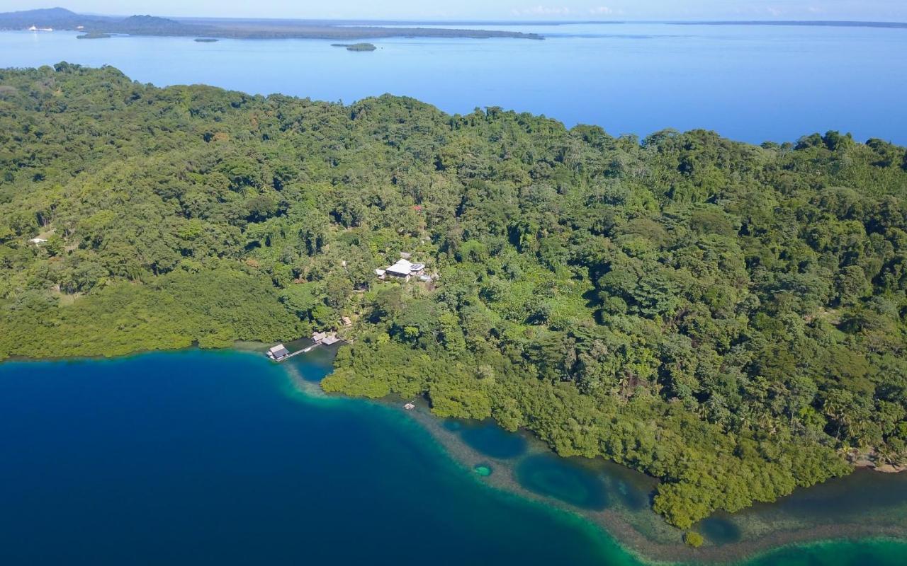 Finca Vela Lodge Bocas Town Exterior photo