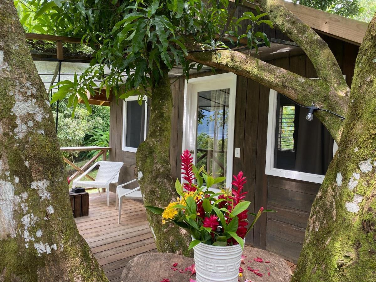 Finca Vela Lodge Bocas Town Exterior photo
