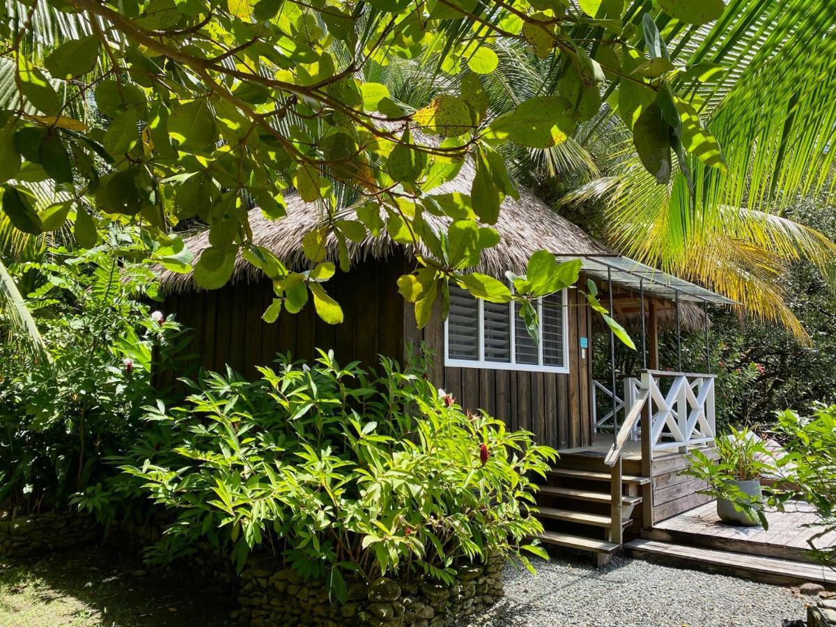 Finca Vela Lodge Bocas Town Exterior photo