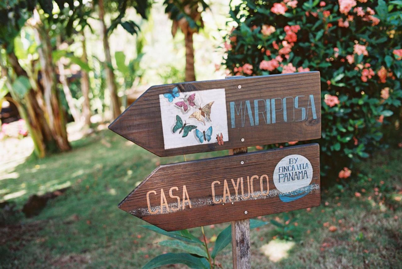 Finca Vela Lodge Bocas Town Exterior photo