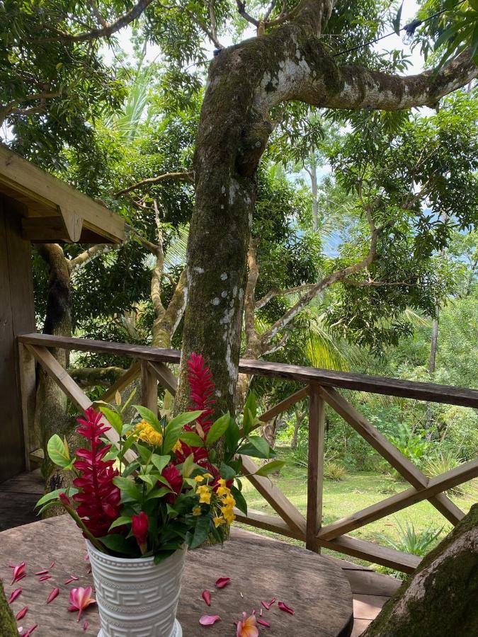 Finca Vela Lodge Bocas Town Exterior photo