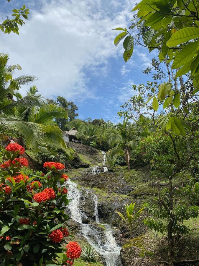 Finca Vela Lodge Bocas Town Exterior photo