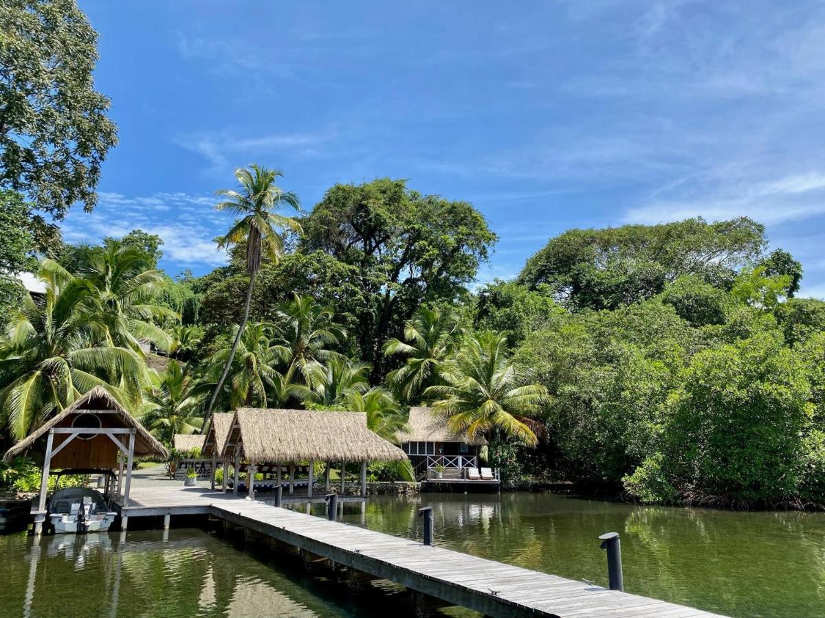 Finca Vela Lodge Bocas Town Exterior photo
