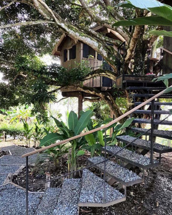 Finca Vela Lodge Bocas Town Room photo